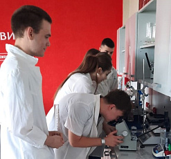 Экзамен сдан! Секреты идеального вина открыты